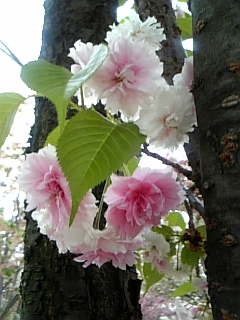 f0028132_21244832.jpg