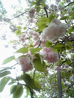 f0028132_21301696.jpg