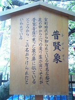 f0028132_2130392.jpg