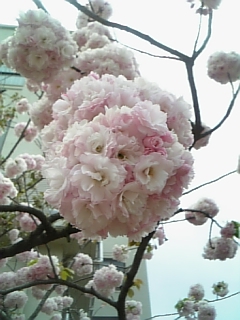 f0028132_21482327.jpg