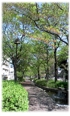 f0034334_8131687.jpg