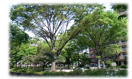 f0034334_8132896.jpg