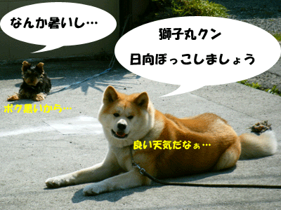 f0008935_13413170.gif