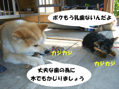 f0008935_13414050.gif