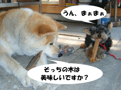 f0008935_13415149.gif