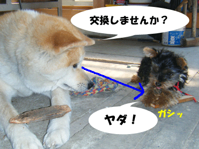 f0008935_1342042.gif