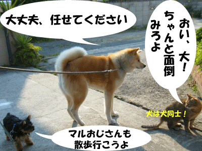 f0008935_15305387.gif