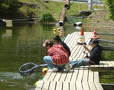 b0174137_22311667.jpg