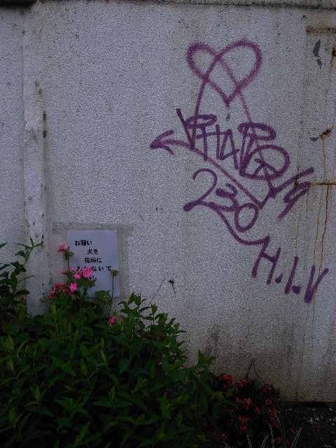 a0087341_21302963.jpg