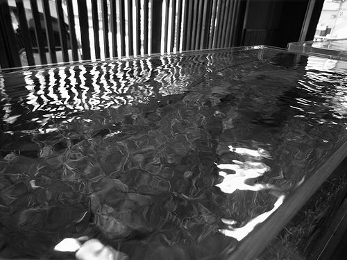 e0149241_193794.jpg
