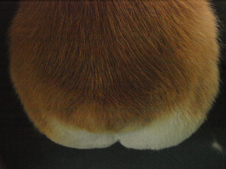 c0119742_0433677.jpg
