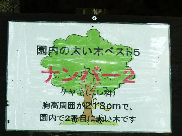 f0097047_14442843.jpg