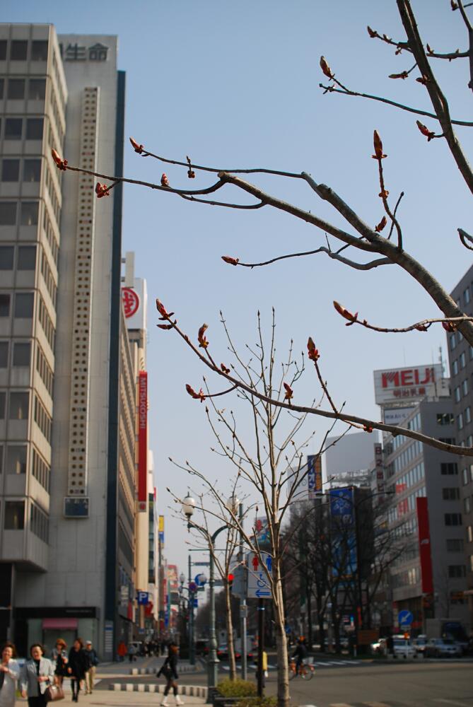 c0003150_2329324.jpg