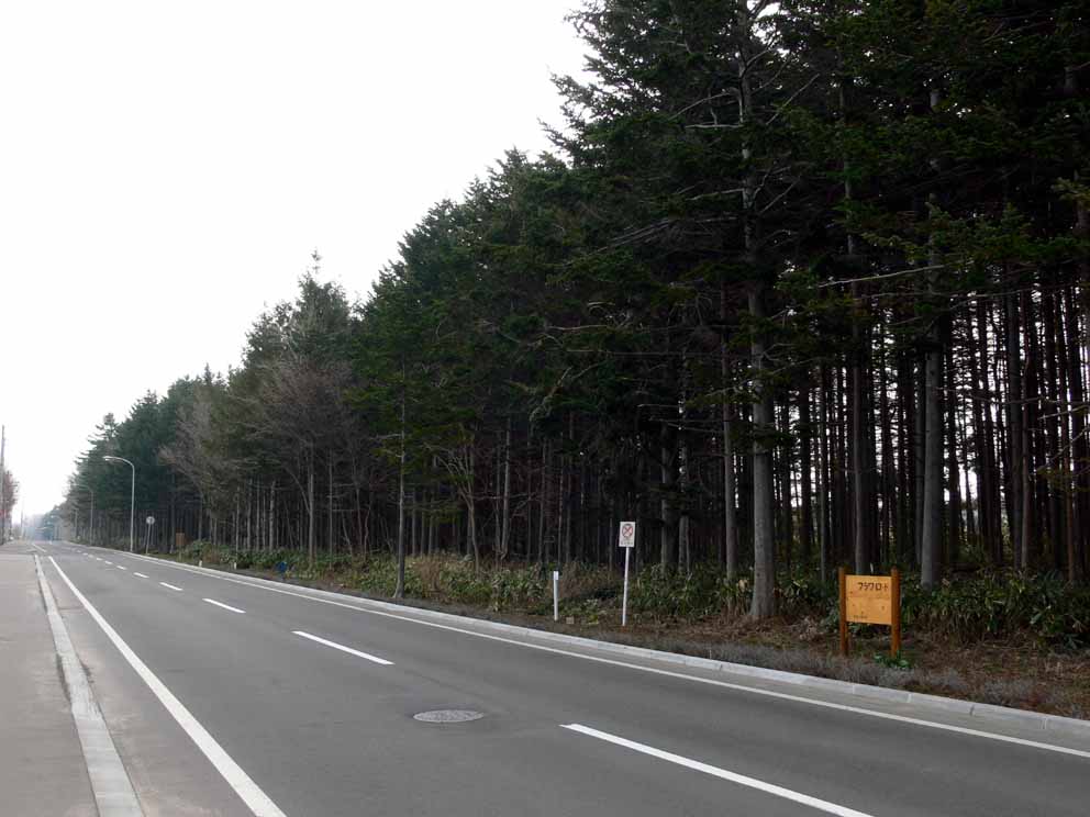 f0027355_1458575.jpg