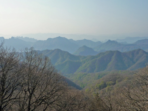 b0045357_4181492.jpg