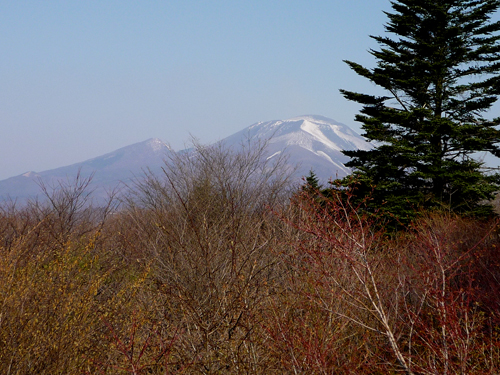 b0045357_4205795.jpg