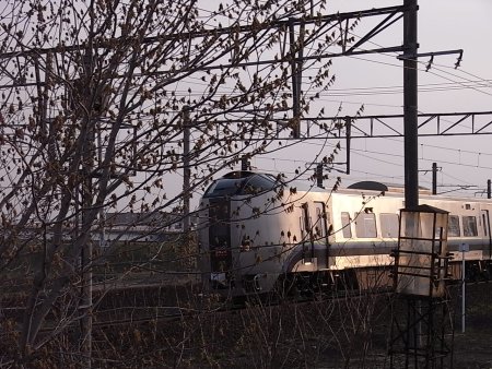 a0004359_21421310.jpg