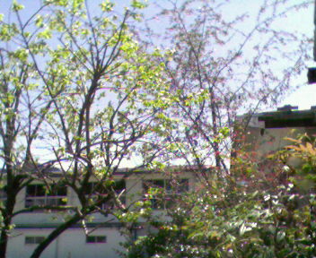 b0105259_22174625.jpg