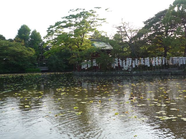 b0141664_1134878.jpg