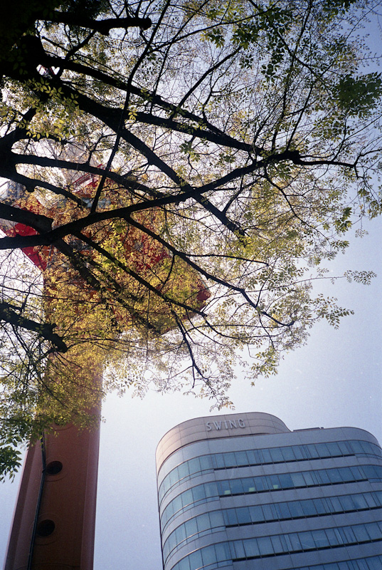 c0084666_853395.jpg