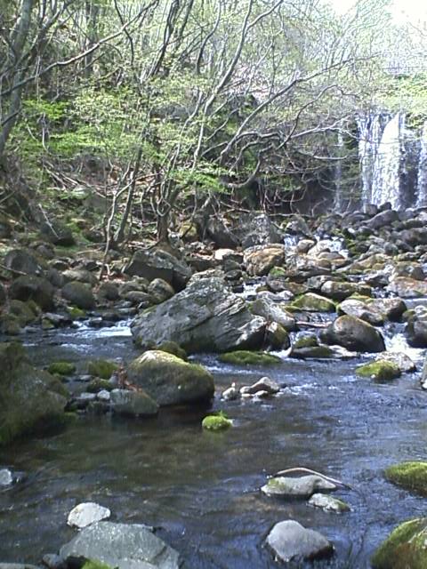 e0151566_20222930.jpg