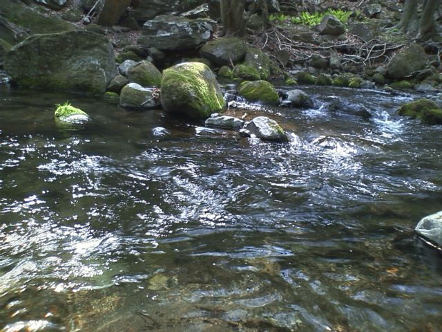 e0151566_20223794.jpg