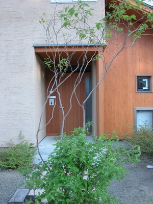 c0166668_5583674.jpg