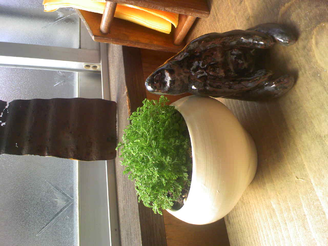c0169268_1415662.jpg