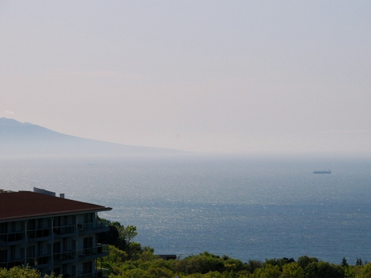 f0065768_1672733.jpg