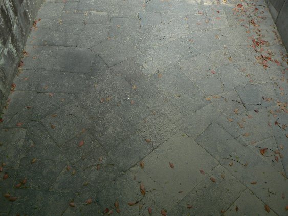 b0116271_0464133.jpg