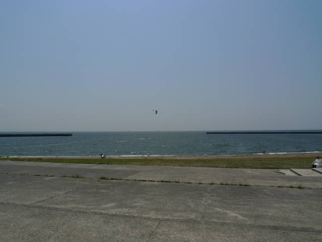 a0113874_17381956.jpg