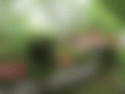 f0003174_14334397.gif