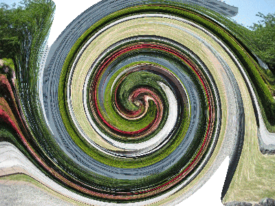 f0003174_14342445.gif