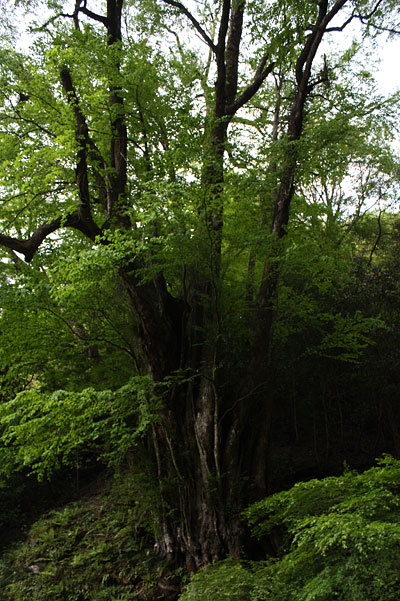 c0152779_1391674.jpg