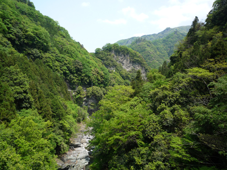 f0079980_0102398.jpg