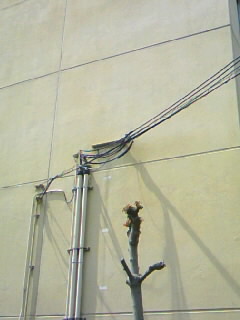 f0100480_13383790.jpg