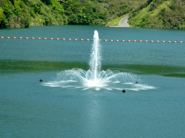 c0125283_1556116.jpg