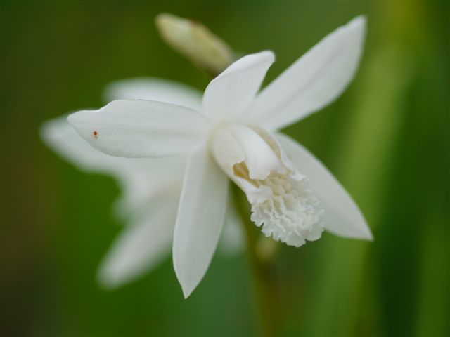 b0175688_2293516.jpg