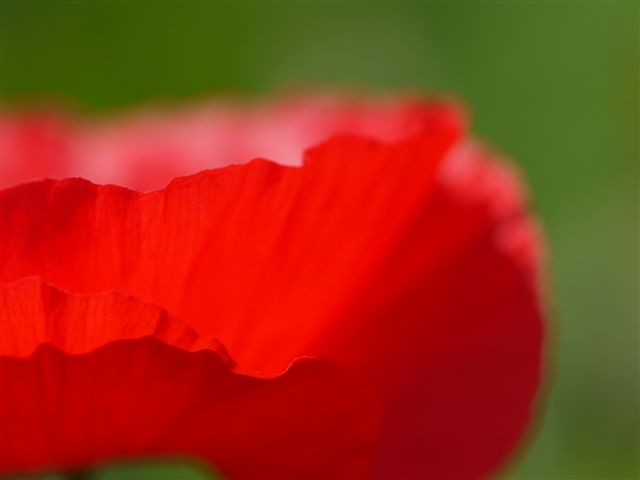 b0175688_229969.jpg