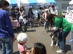 f0189490_0514062.jpg