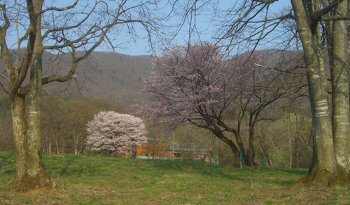 b0099994_1802024.jpg
