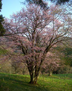 b0099994_1834122.jpg