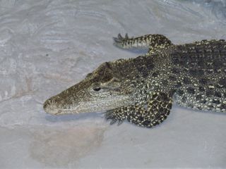 f0130894_21494948.jpg