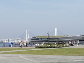 f0130894_22194.jpg