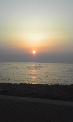 a0119795_1182029.jpg