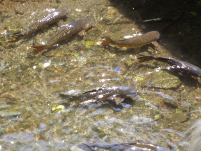 c0086895_12515872.jpg