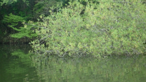 c0182098_2311724.jpg