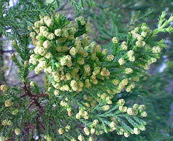 b0160300_21235684.jpg