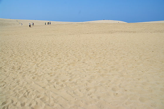 d0001300_18122443.jpg
