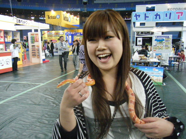 a0050302_6325393.jpg